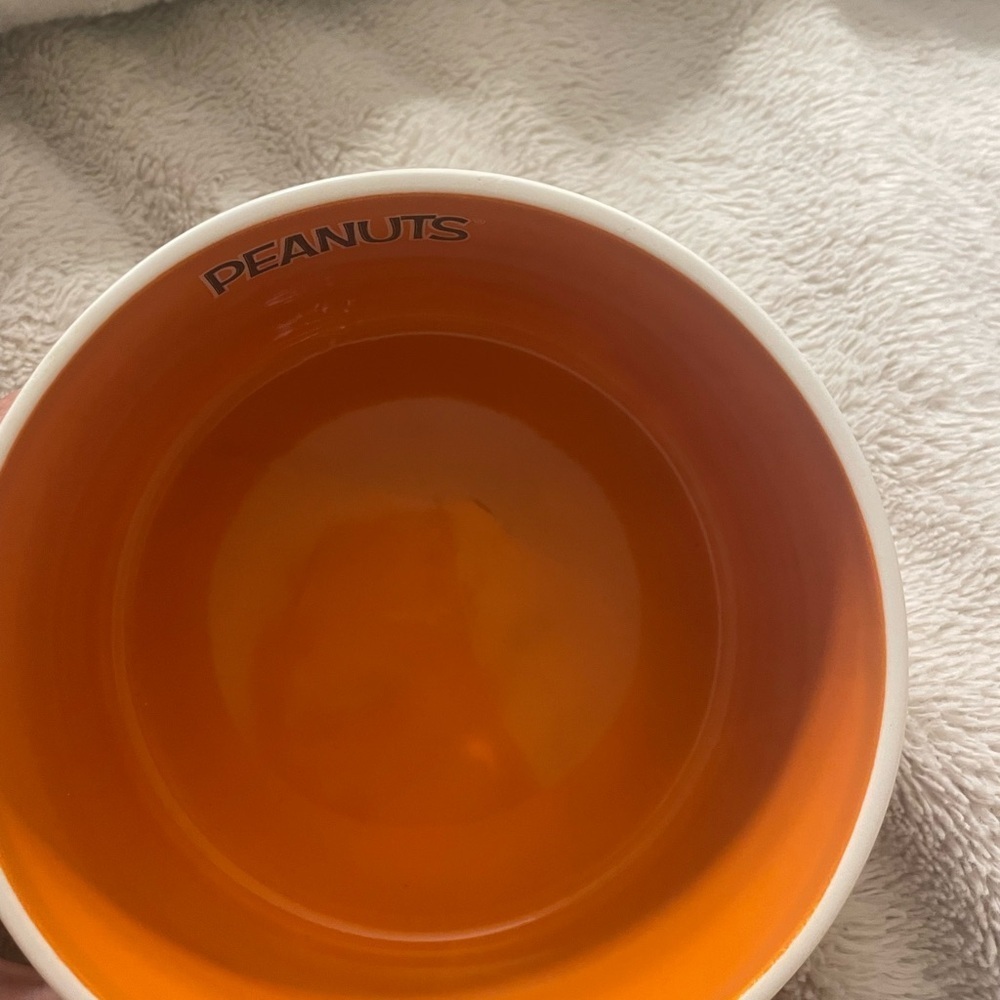 NWT Peanuts and Rae Dunn Pet Food or Water Bowl - Picture 4 of 4